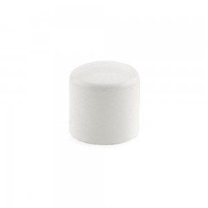 Sch 40 PVC Caps