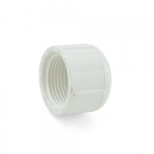 Sch 40 PVC (FIP) Caps