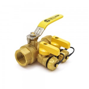 Purge & Fill Valves