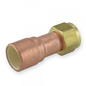 PVC & CPVC Adapters